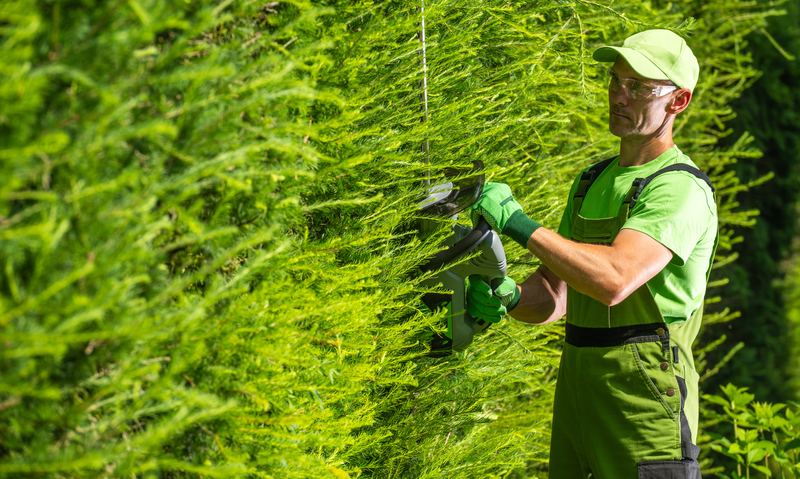 Hedge & Shrub Trimming